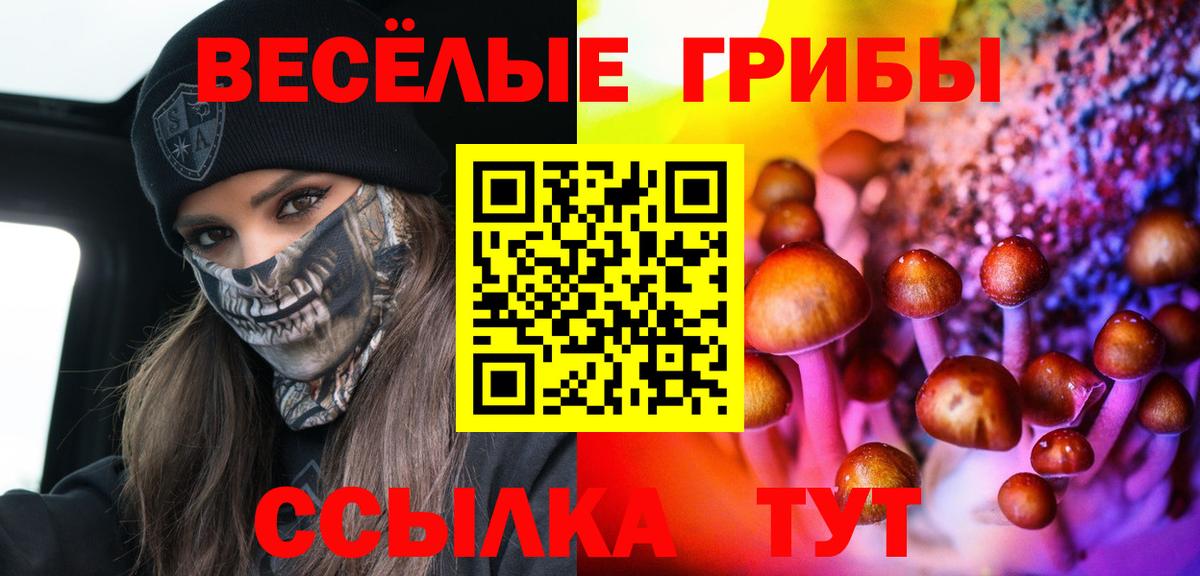 сколько стоит  Вход с VPN  Ивантеевка  Галлюциногенные грибы ЛСД 